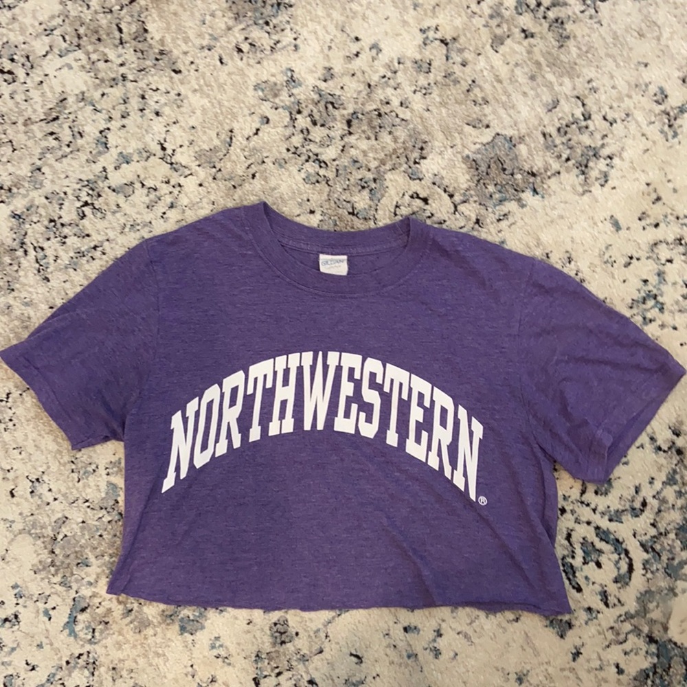 Cropped Northwestern tee